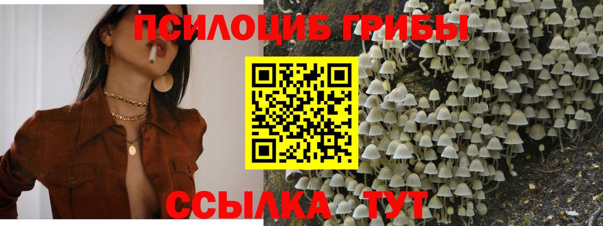 Псилоцибиновые грибы Psilocybe  Вход с VPN  даркнет сайт  Ханты-Мансийск  Псилоцибиновые грибы мухоморы 